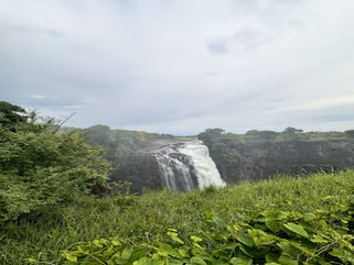 Preview of forest waterfall