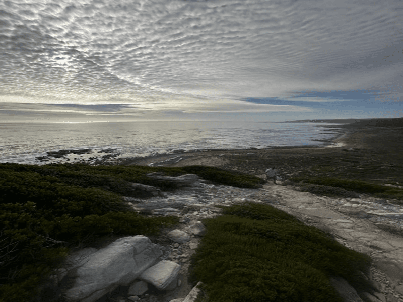 Preview of 16-bit coastline