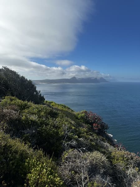 Preview of coastal transparency