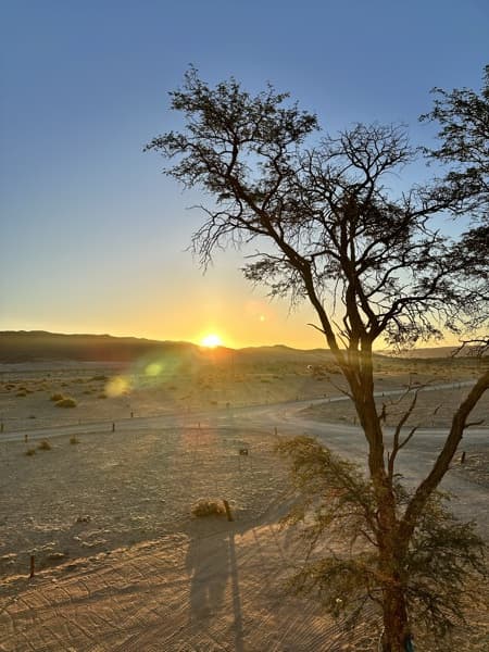 Preview of desert sunset